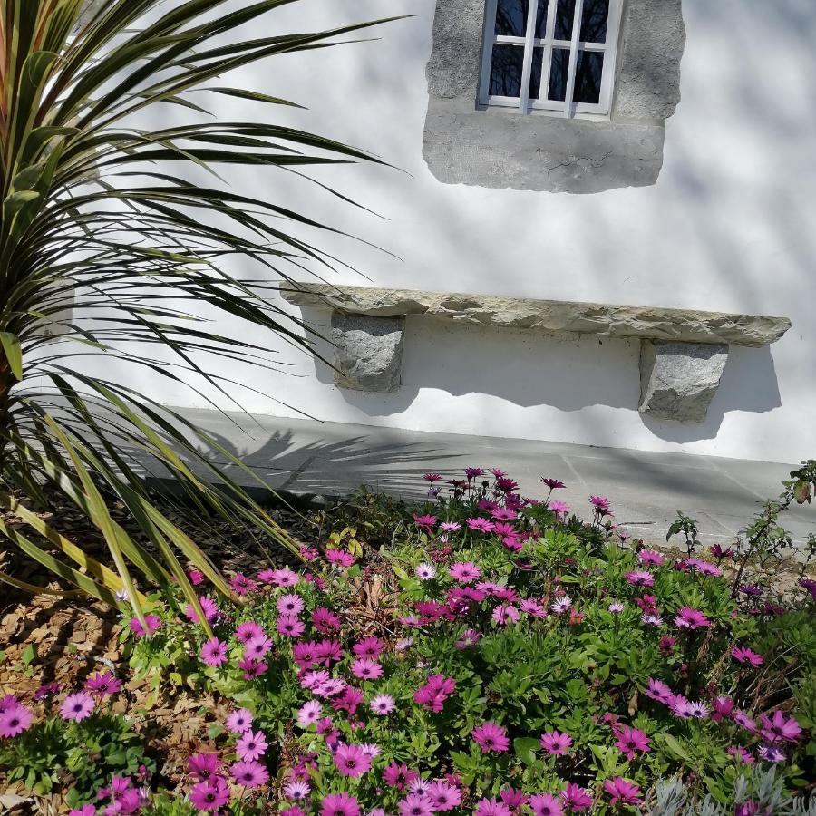 Maison D'Hotes Villa Xaran Erdian Espelette Buitenkant foto